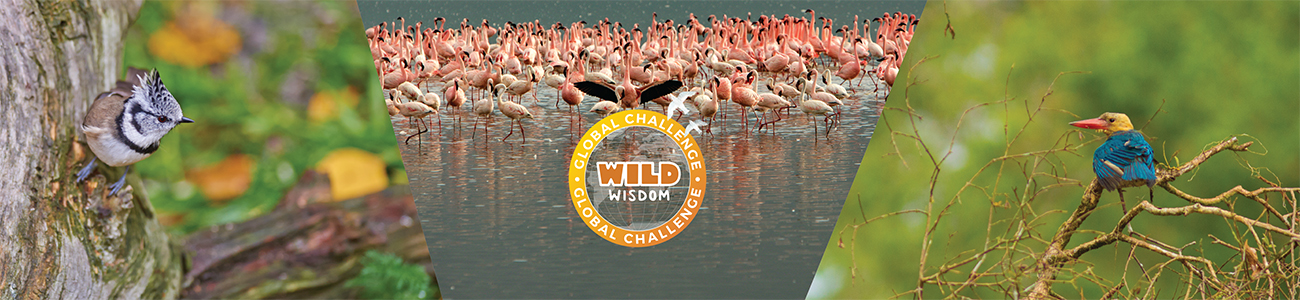 WWGC2023_website top banner 1300x300